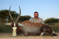 South Africa Blesbuck